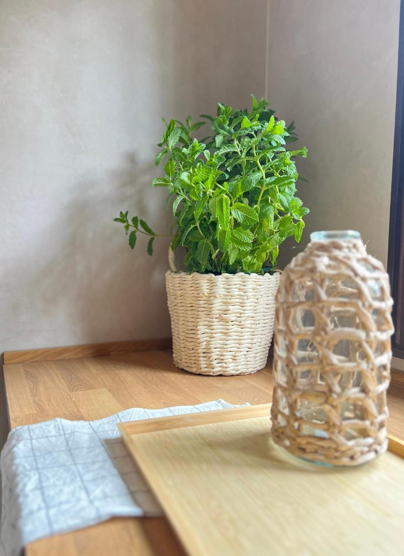 Lenta Suites 포조알콘 외부 사진